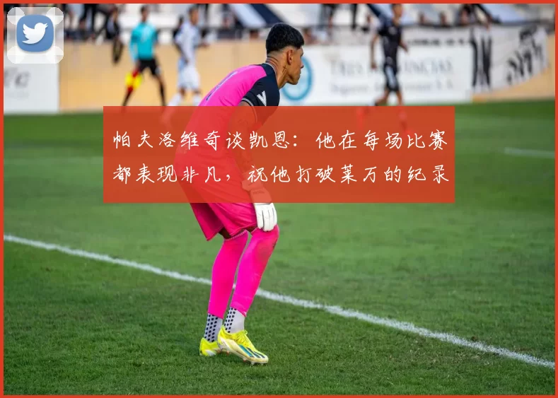 帕夫洛维奇谈凯恩：他在每场比赛都表现非凡，祝他打破莱万的纪录